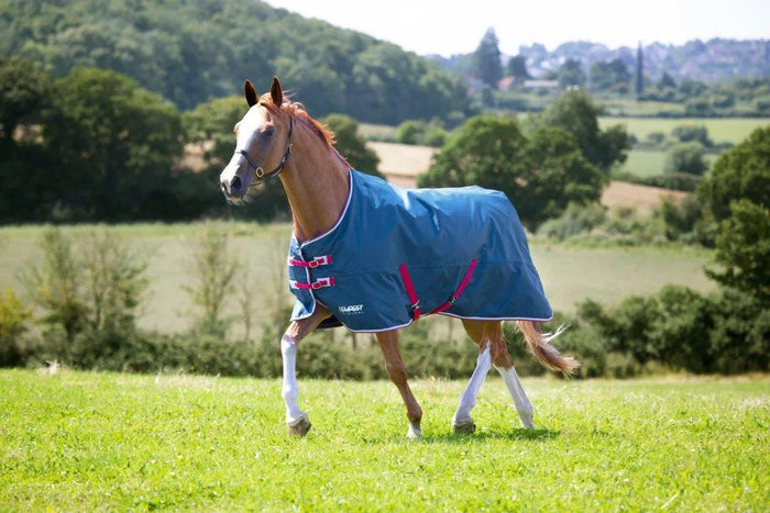 Tempest Original Lite Turnout Combo Rug - Teal - 4'0"