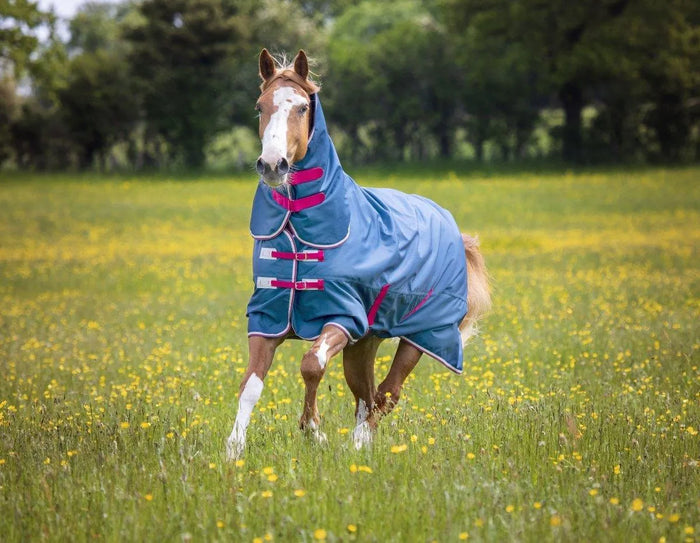 Tempest Original Lite Turnout Combo Rug - Teal - 4'0"