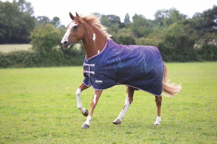 Tempest Original Lite Turnout Combo Rug - Teal - 4'0"