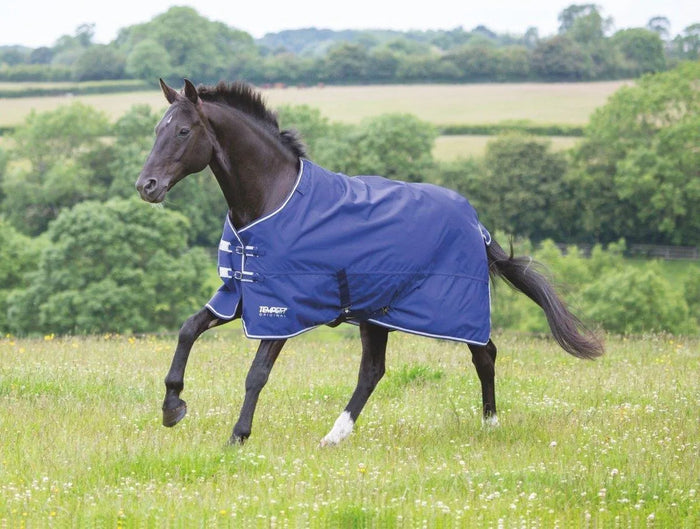 Tempest Original Lite Turnout Combo Rug - Teal - 4'0"