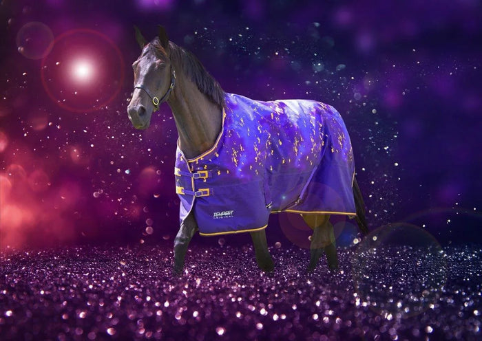 Tempest Original Lite Turnout Combo Rug - Teal - 4'0"