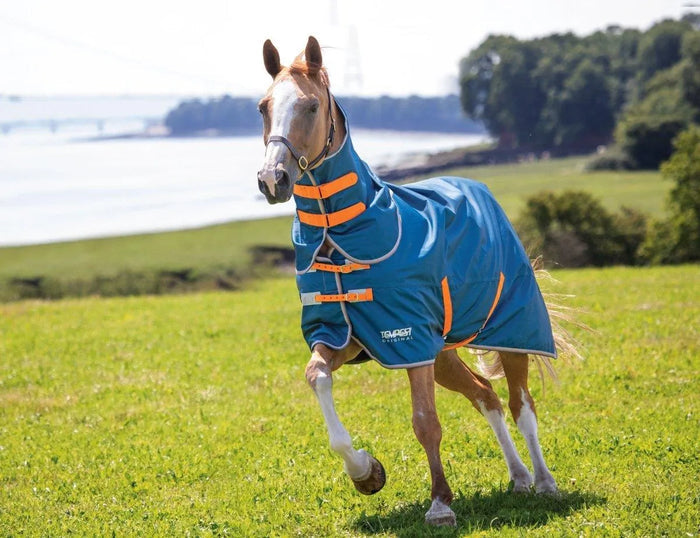 Tempest Original Lite Turnout Rug & Neck - Teal - 5'0"