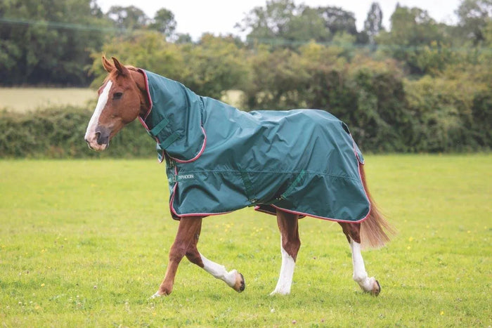 Typhoon Lite Combo Turnout Rug - Green - 4'0"