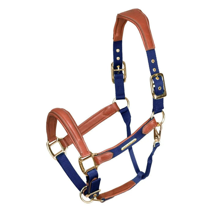 Velociti Lusso Padded Leather Headcollar - Black - Cob