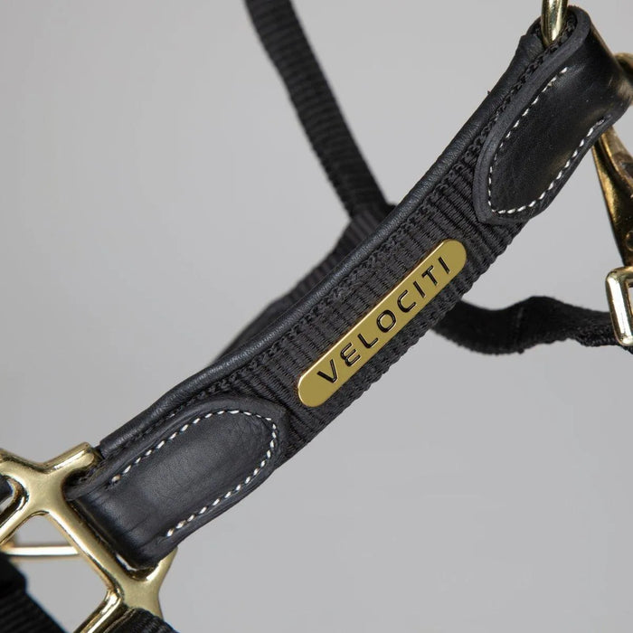 Velociti Lusso Padded Leather Headcollar - Black - Cob