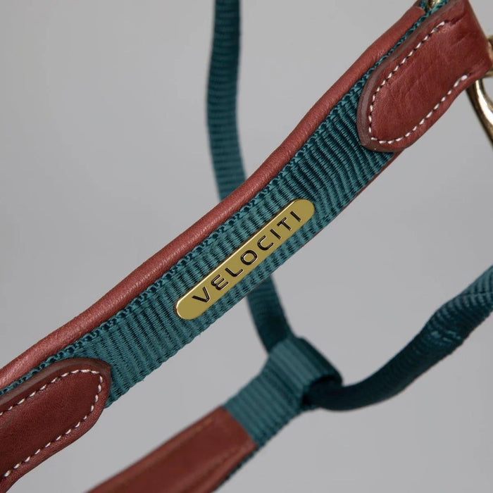 Velociti Lusso Padded Leather Headcollar - Black - Cob