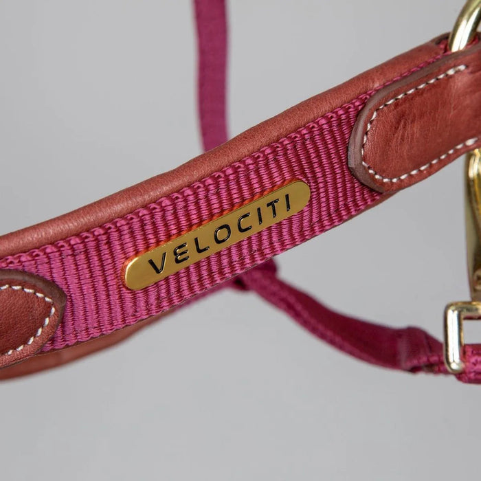Velociti Lusso Padded Leather Headcollar - Black - Cob