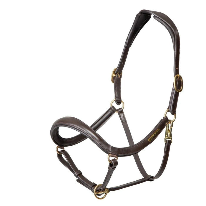 Velociti Rapida Curved Leather Headcollar - Black - Cob