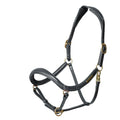 Velociti Rapida Curved Leather Headcollar - Black - Cob