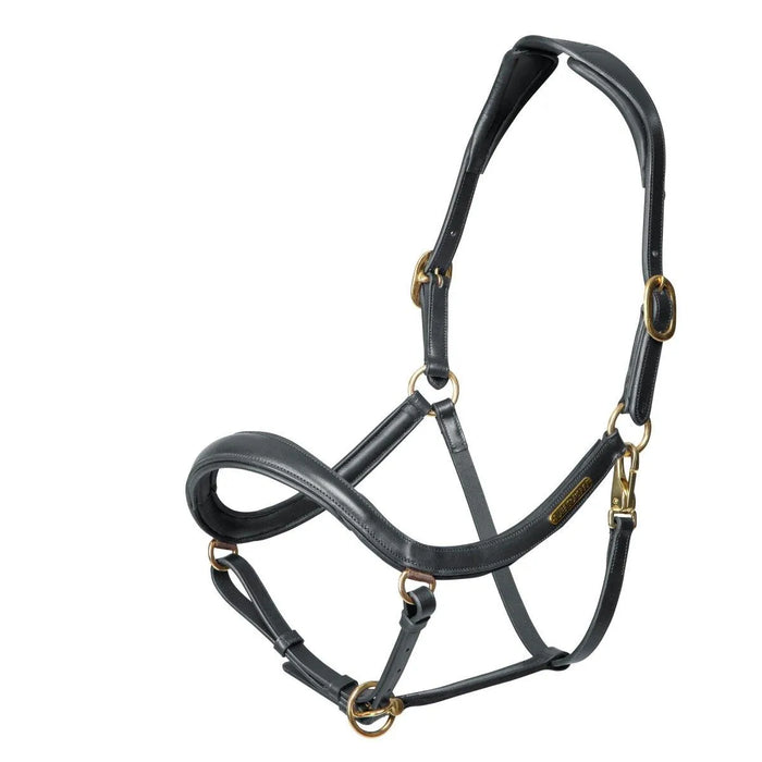 Velociti Rapida Curved Leather Headcollar - Black - Cob